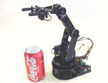 Humanoids Robotics